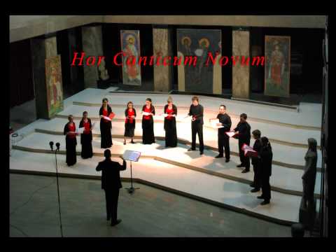 Hor Canticum Novum - Eric Whitacre - Lux aurumque