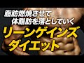 【プチ断食】リーンゲインズ ダイエットの特徴を解説【ビーレジェンド プロテイン】