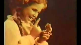 Sunseed - Raul Seixas (HQ)