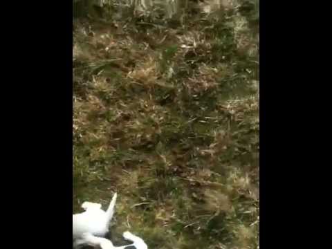 Wir erobern die Welt