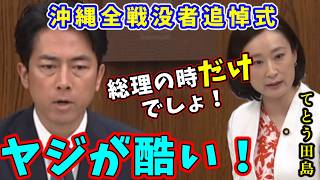 進次郎 vs てとう田島 沖縄追悼式でのヤジを養護、抑止力へのイチャモンを完全論破