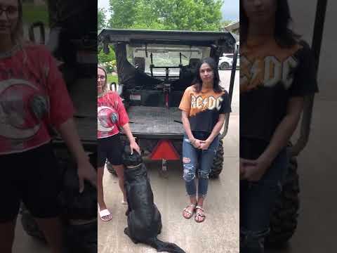 YouTube video about: Can am defender bed winch?