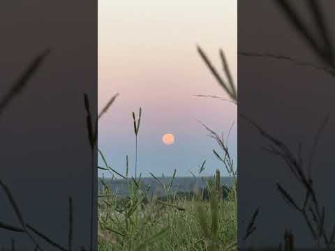 #lua #naturaleza #paz #luz #balnearioipora #tacuarembó  #energia #natureza #lagos #céu