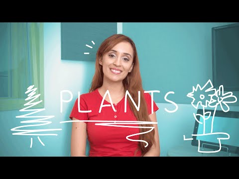 Weekly Brazilian Portuguese Words with Jade - Plants