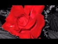 Luca Carboni-Il tempo dell'amore 