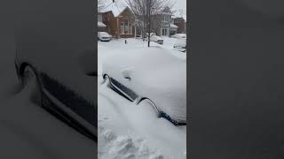 Download lagu Snowstorm more than 12 inches of snowfall mp3 Download lagu Snowstorm more than 12 inches of snowfall mp3