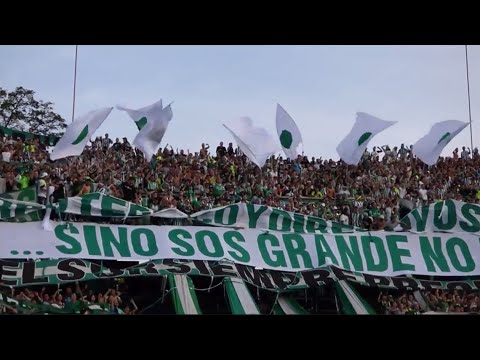 ""MIS ABUELOS ME ENSEÑARON A QUERERTE" | ATLÉTICO NACIONAL - LOS DEL SUR (Sub: ES/E" Barra: Los del Sur &bull; Club: Atlético Nacional