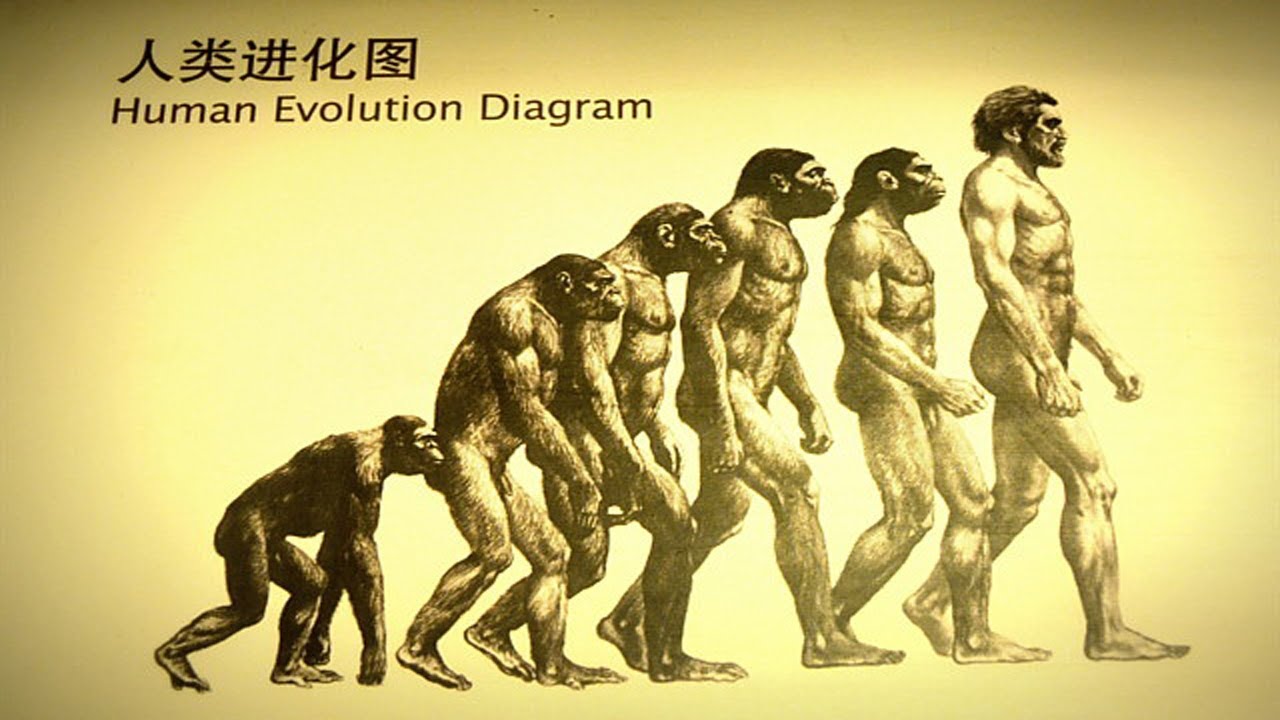 Da natureza à cultura