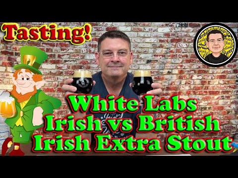 Irish Extra Stout Tasting - White Labs Irish Ale Yeast vs English Ale Yeast