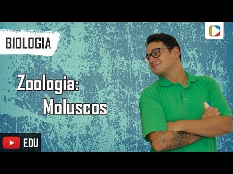 Biologia - Zoologia: Moluscos