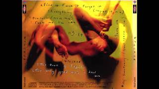 PIG - The Book Of Tequila