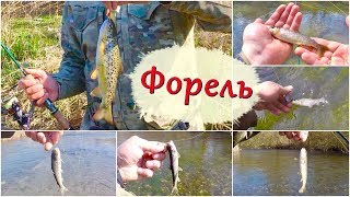 River old satellite torpedo 8 грамм