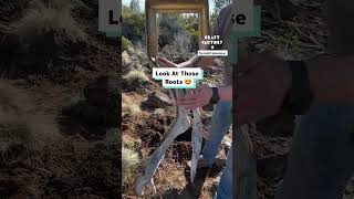 Growing My Picture Frames