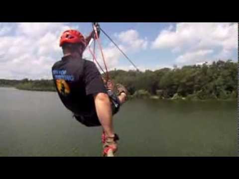 Treetop Trekking Brampton - Great Blue Heron Teaser