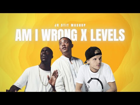 AM I WRONG X LEVELS (Nico&Vinz, Avicii) [Jr Stit Mashup]