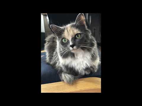 (FREE) ericdoa x glaive pop type beat "off the beaten trail"