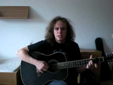 Nedvědi - Jižní kříž cover ( 12 string )