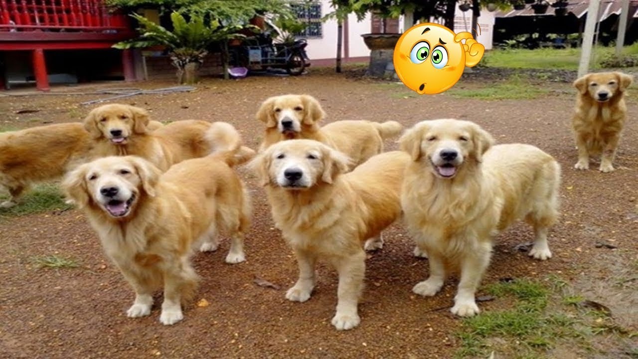 19 Photos Showing That Weird Coincidences Are a Thing on This Planet