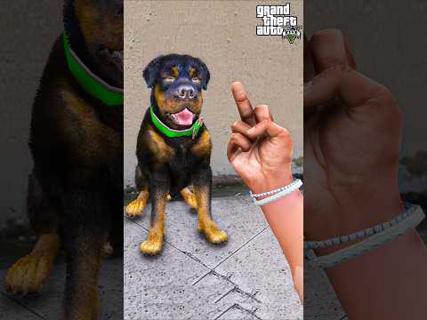 GTA V FRANKLIN DOG SHOW LOVE TO OTHER DOG PART 5 | #shorts | Maheshwar Gamerz