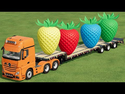 TRANSPORTING OF COLORS ! GIANT STAWBERRY LOADING ON LOW LOADER w CASE TRACTORS !Farming Simulator 22