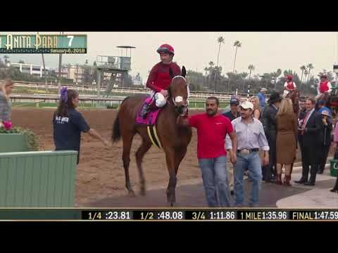 *****Mullins Racing Stables and Team Equiscope make it five in a row with  "Itsinthepost" wining the