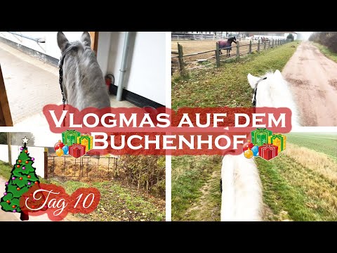 WIR REITEN AUS! | Vlogmas #10