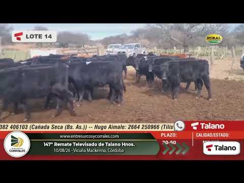10-08-26 - 147º Remate Televisado de Talano Hnos  - Vicuña Mackenna, Córdoba
