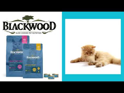  Blackwood Cat Food
