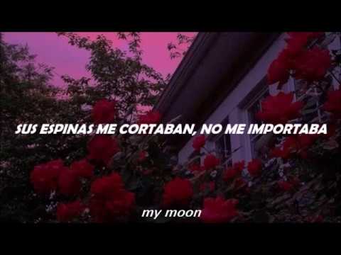 Cami - Querida Rosa (Letra)