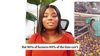 Global assist Naija (GAN Ltd)