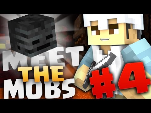 St3pNy -  MINECRAFT : MEET THE MOBS - WELCOME TO THE NETHER!!  IN SEARCH OF THE THIRD HEAD!  #4