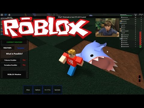 Item Shop, Paranormica Roblox Wiki