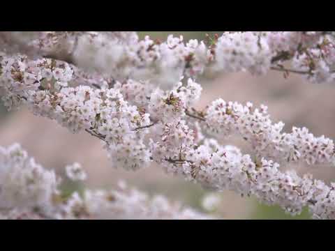 CHAMA ETERNA ___ ABÍLIO VARELLA ( LINE RELÍQUIA) O MELHOR DA MÚSICA GOSPEL