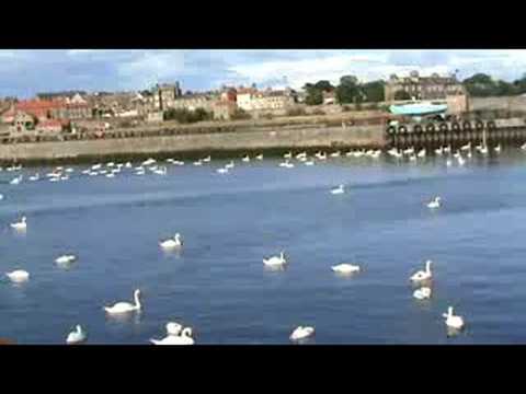 berwick-upon tweed