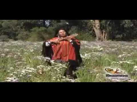 antonieta antezana tunante