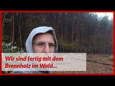 Wir sind soweit fertig mit dem Brennholz im Wald