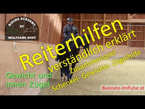 F58 Rider Aids: Leg, cross, and rein aids on the horse explained. Learn to ride!