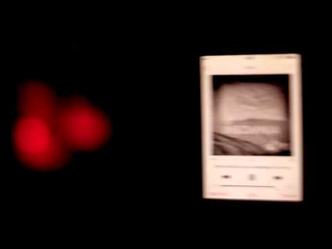 Wild Motherfuckers - Insomnia [Free Release]