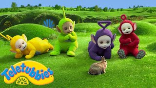 Download lagu Teletubbies Bahasa Indonesia - WildBrain | Kelinci di mana-mana | Pertunjukan untuk Anak-anak mp3 Download lagu Teletubbies Bahasa Indonesia - WildBrain | Kelinci di mana-mana | Pertunjukan untuk Anak-anak mp3
