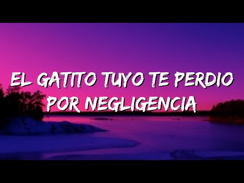 el gatito tuyo te perdio por negligencia - Bad Bunny