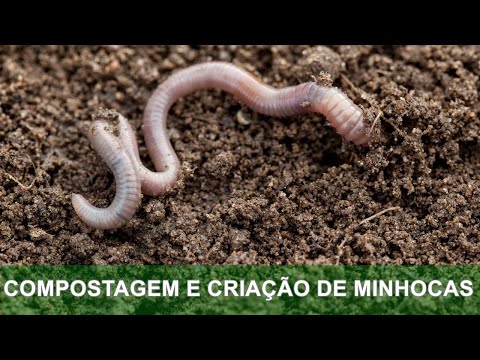 , title : 'COMPOSTAGEM E CRIAÇÃO DE MINHOCAS'