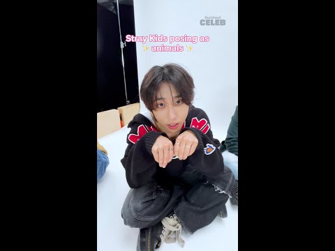 Stray Kids posing as animals 🥺