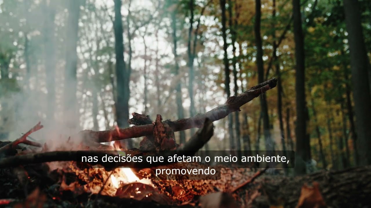 Direito Ambiental Abertura