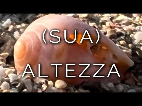 1379-IT Anna, (SUA) ALTEZZA - Ipnosi Esoterica ∞ Lucio Carsi