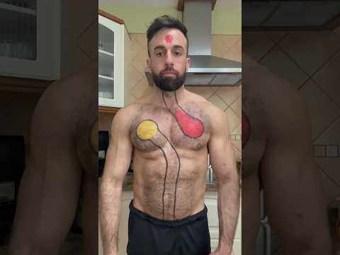 How Junk Food Can Harm Your Heart – The Cholesterol Effect #short #shorts #youtuber #fitness