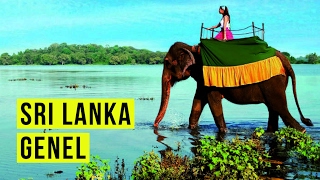 Sri Lanka nasıl bir yer? GEZİMANYA SRİ LANKA REHBERİ