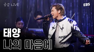 Download lagu 태양의 첫 공감 무대! 나의 마음에(Seed) LIVE & 인터뷰 [EBS 스페이스 공감 20230513 방송] #태양 #taeyang mp3