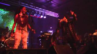 The Coup - 5 Millions Ways To Kill A CEO 11/11/11 Bear Creek Music Festival