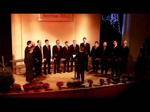 Letni koncert MoPZ  Radomlje