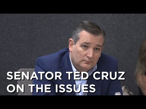 Senator Ted Cruz talks about the tone of politics and Dreamers